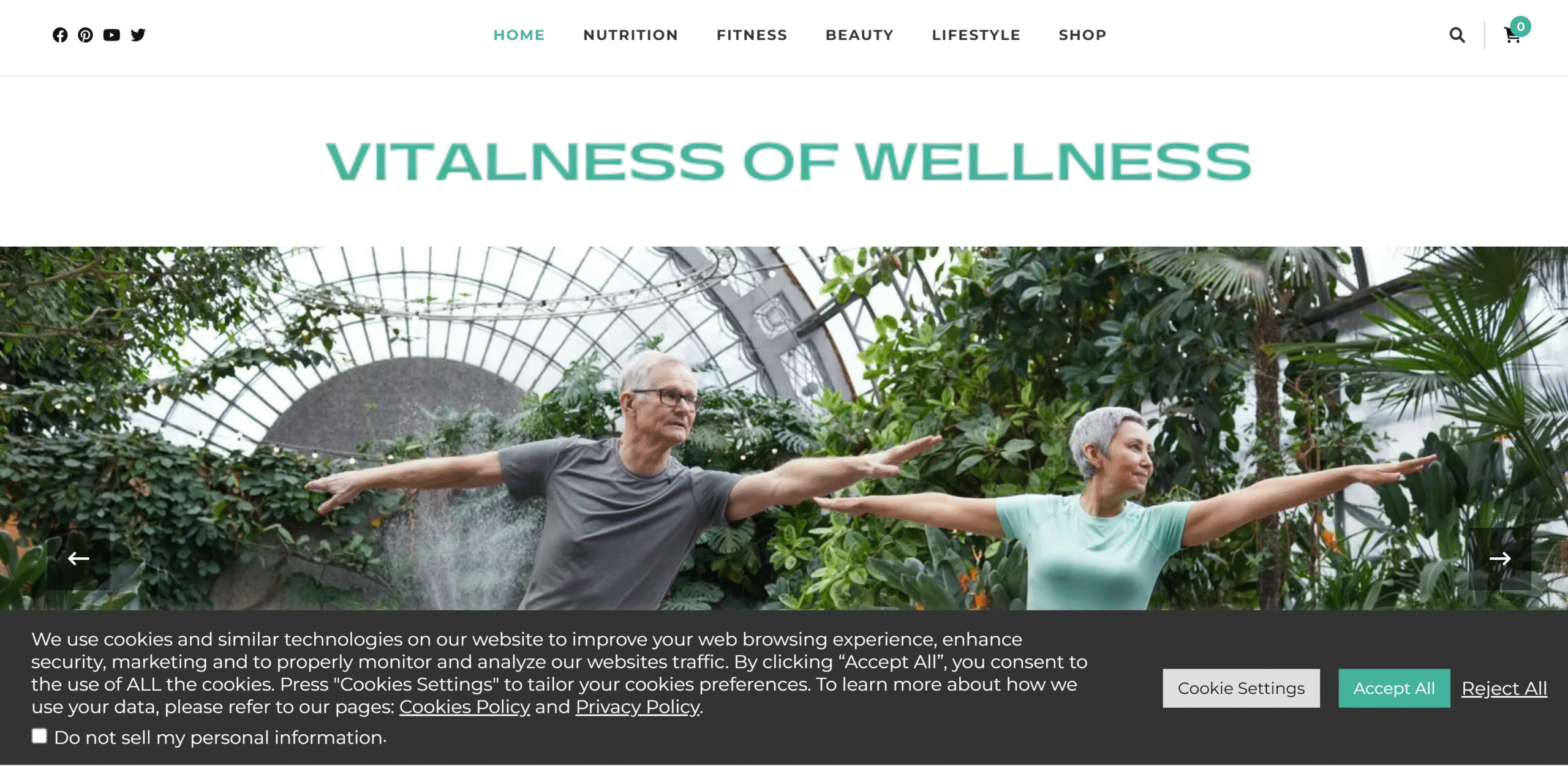 VitalnessOfWellness-HP-e1690337284720.png